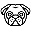 Pug Icon